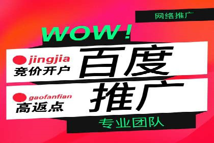 某某sem代运营推广公司经典案例：品牌知名度大增